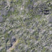 High Resolution Seamless Moss Texturel 0005